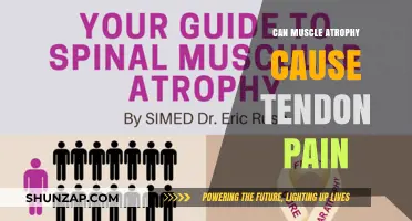 Muscle Atrophy and Tendon Pain: Is There a Link?