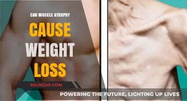 Muscle Atrophy and Weight Loss: What's the Link?