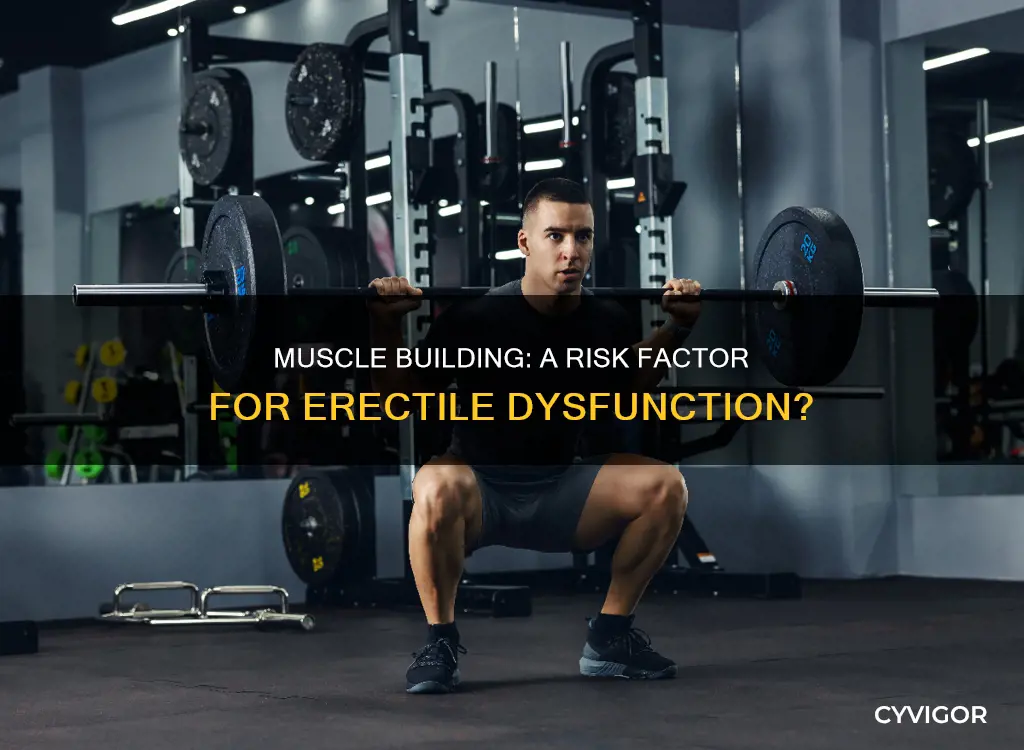 can muscle building cause erectile dysfunction