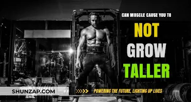 Does Muscle Mass Affect Height?