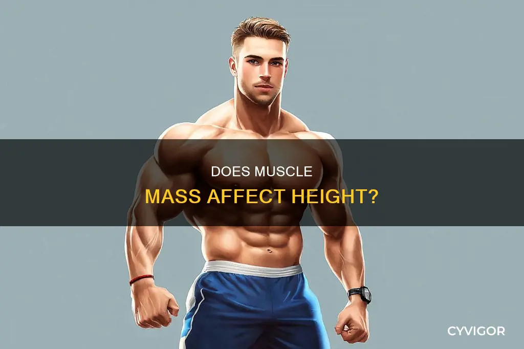 can muscle cause you to not grow taller