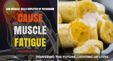 How Potassium Deficiency Leads to Muscle Fatigue
