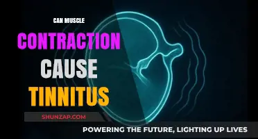 Muscle Contraction and Tinnitus: Is There a Link?