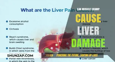Muscle Cramps: A Surprising Link to Liver Health
