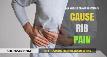 Stomach Muscle Cramps: A Surprising Cause of Rib Pain