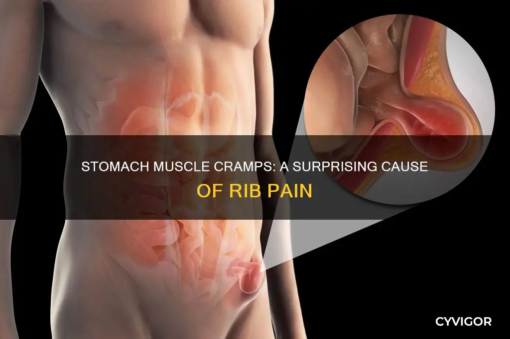 can muscle cramp in stomach cause rib pain