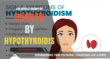 Thyroid and Muscle Cramps: Is There a Link?
