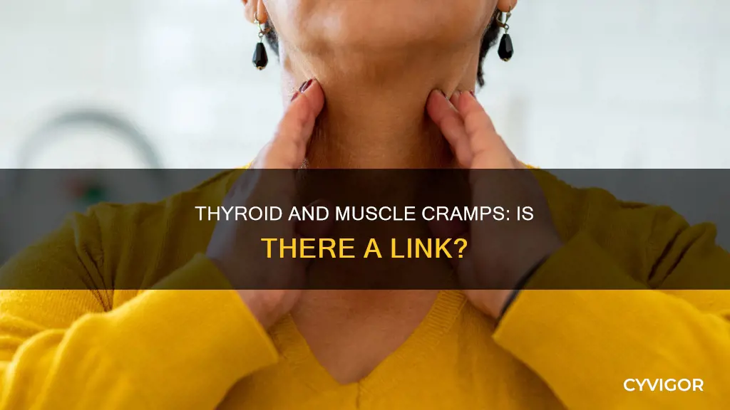 can muscle cramps be caused by hypothyroidism