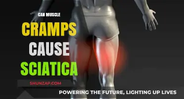 Muscle Cramps: A Trigger for Sciatica?