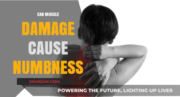 Muscle Damage and Numbness: What's the Connection?