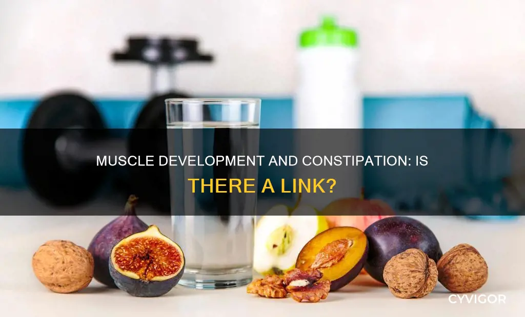 can muscle development cause constipation
