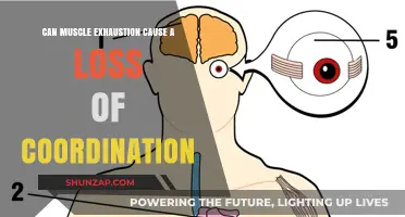 Muscle Exhaustion: How It Impacts Coordination and Movement