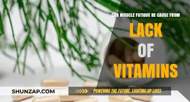Muscle Fatigue: How Vitamins Affect Your Body