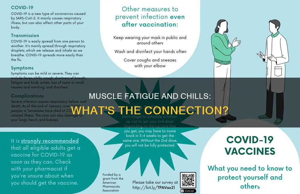 can muscle fatigue cause chills