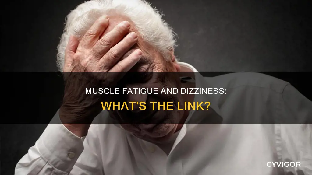 can muscle fatigue cause dizziness