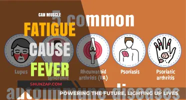 Muscle Fatigue and Fever: Is There a Link?