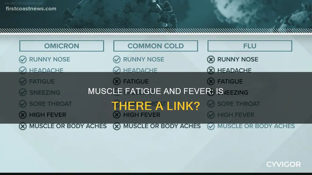 can muscle fatigue cause fever