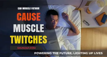 Muscle Fatigue and Twitching: What's the Link?