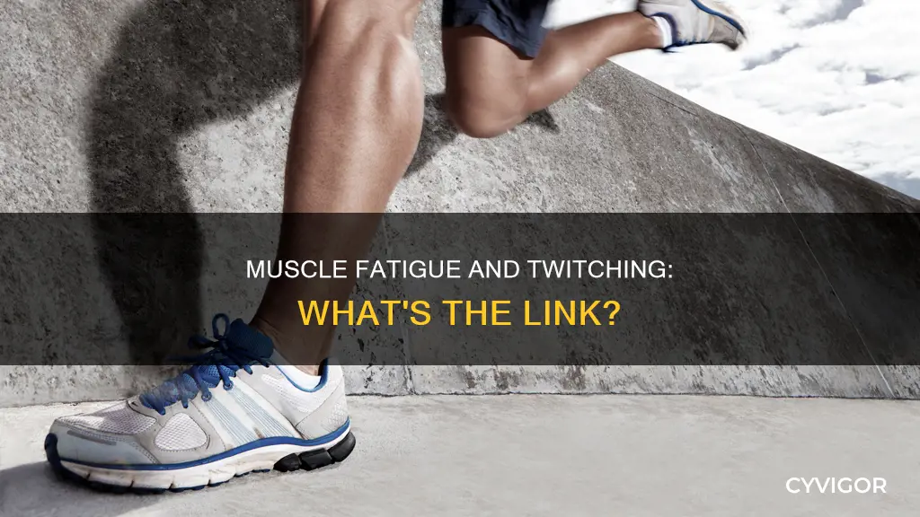 can muscle fatigue cause muscle twitches