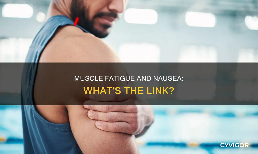 can muscle fatigue cause nausea