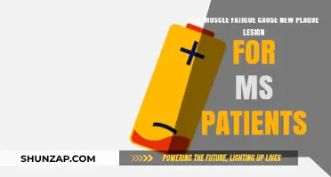 How Muscle Fatigue Impacts MS Patients' Brain Health