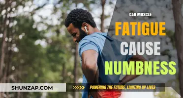 How Muscle Fatigue Can Cause Numbness
