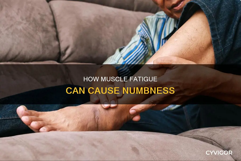 can muscle fatigue cause numbness