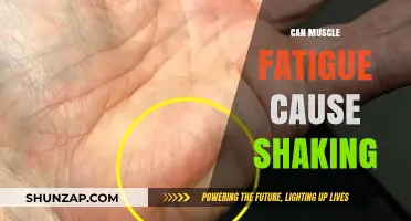 How Muscle Fatigue Causes Shaking