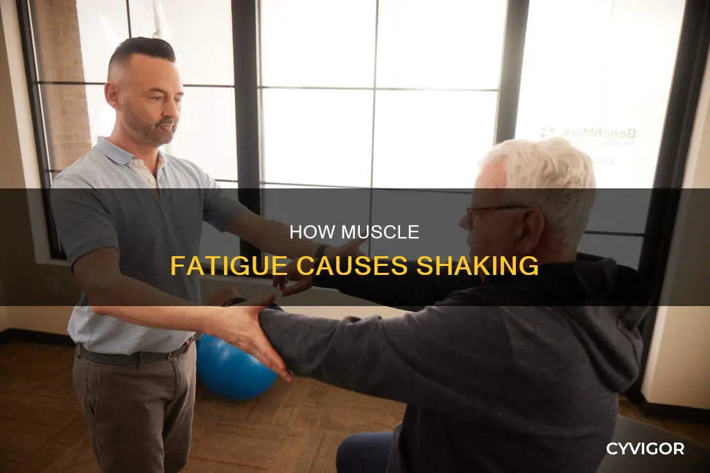 can muscle fatigue cause shaking