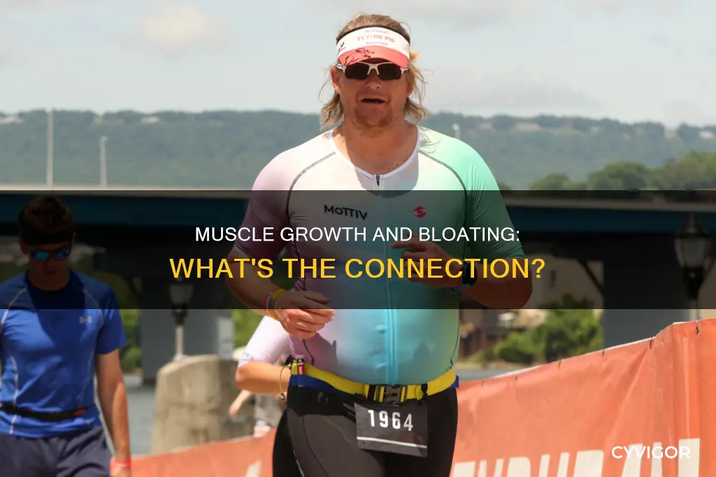 can muscle growth cause bloating