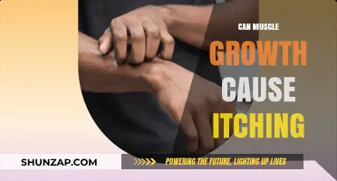 Muscle Growth and Itching: What's the Connection?