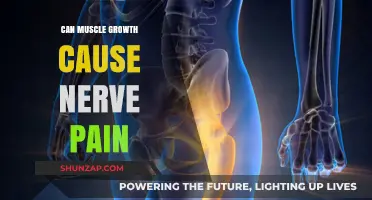 Muscle Growth and Nerve Pain: Is There a Link?
