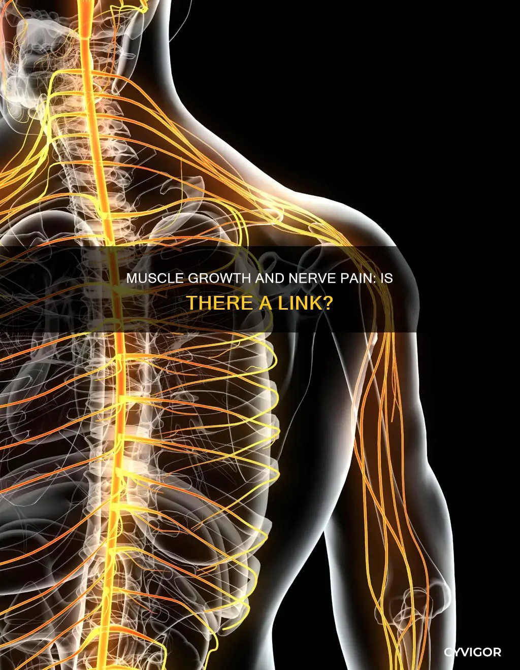 can muscle growth cause nerve pain