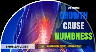 Muscle Growth and Numbness: What's the Connection?