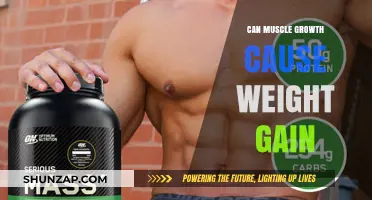Muscle Growth: Weight Gain or Loss?