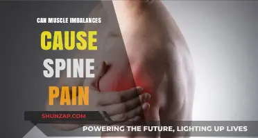 Muscle Imbalances: A Surprising Cause of Spine Pain?
