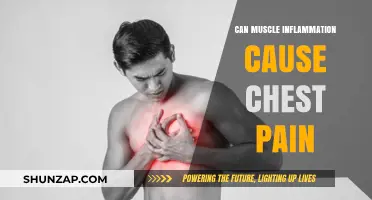 Muscle Inflammation and Chest Pain: What's the Link?