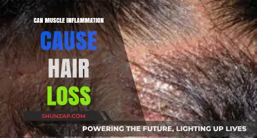 Muscle Inflammation and Hair Loss: Is There a Link?