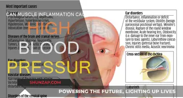 Muscle Inflammation: High Blood Pressure Culprit or Coincidence?