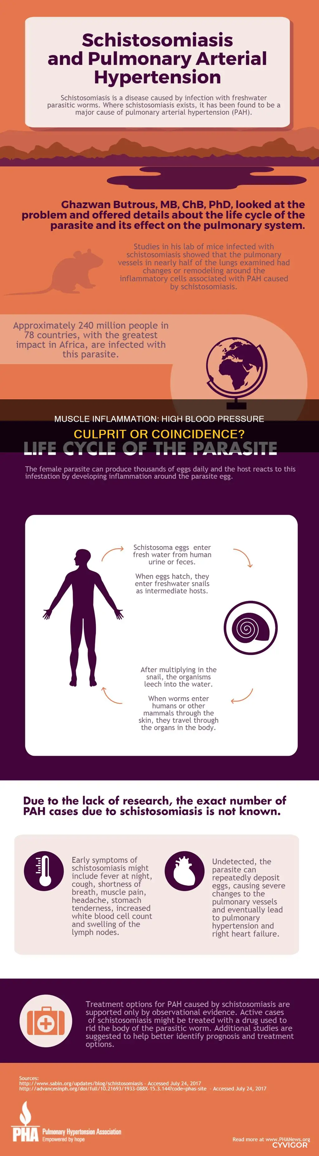 can muscle inflammation cause high blood pressure