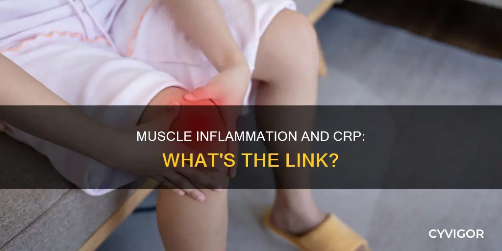 can muscle inflammation cause high crp