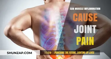 Muscle Inflammation and Joint Pain: What's the Link?