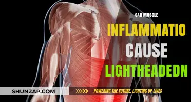 Muscle Inflammation and Lightheadedness: What's the Link?