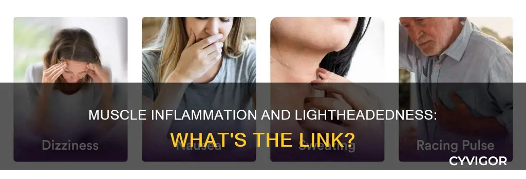 can muscle inflammation cause lightheadedness