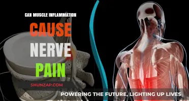 Muscle Inflammation and Nerve Pain: What's the Link?