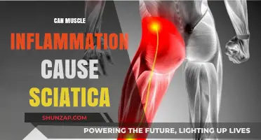 Muscle Inflammation and Sciatica: What's the Connection?