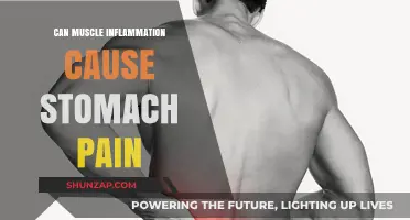 Muscle Inflammation and Stomach Pain: What's the Link?