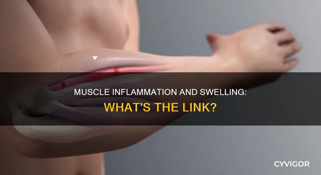 can muscle inflammation cause swelling
