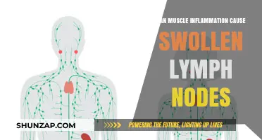 Muscle Inflammation and Swollen Lymph Nodes: What's the Link?