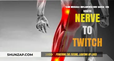 Muscle Inflammation and Sciatic Nerve Twitching: What's the Link?